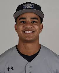 Four Selected to CSC Academic All-District Baseball Team