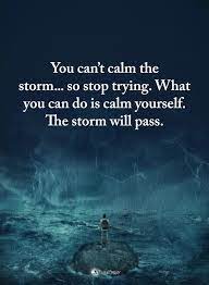 Pin By Dave On Quotes Calming The Storm Power Of Positivity Brave Quotes