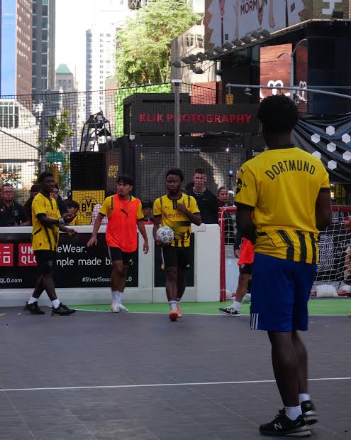 dortmund yellow wall fans