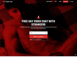Flingster Gay and 11+ Sites Like Flingster Gay | GayPornMenu