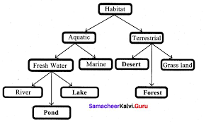 Check spelling or type a new query. Samacheer Kalvi 6th Science Solutions Term 1 Chapter 4 The Living World Of Plants Samacheer Kalvi