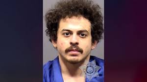 Man who harassed peacocks pleads guilty to shooting at man who told him to  stop