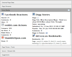 Image result for "Google Indexed Pages" "WHOIS INFO" along