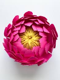 Pin On Flower Wall