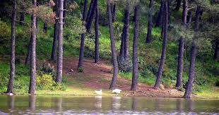 Maybe you would like to learn more about one of these? Sancaktepe Aydos Ormanlari Ndaki Yanginin Nedeni Ne