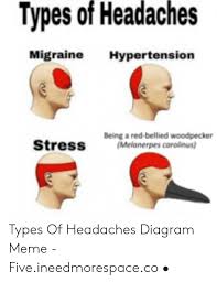 Headache Diagram Headache Chart Causes Dehydration Headache