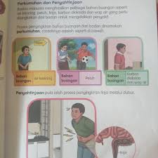 Pada manusia pematangan organ reproduksi pada umumnya terjadi pada usia. Perkumuhan Dan Penyahtinjaan Ms 37 39 Quiz Quizizz