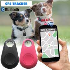 Inhaltsverzeichnis wie exakt sind gps tracker für haustiere? Hunde Gps Tracker Tier Welt Haustier Shop Schweiz