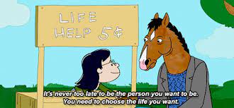 Bojack Horseman Bojack Horseman Horseman Cartoon Crossovers