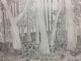 How to draw realistic trees and foliage Forest Ground Drawing Novocom Top