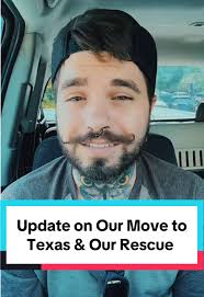 Support Our Cat Rescue Efforts Today