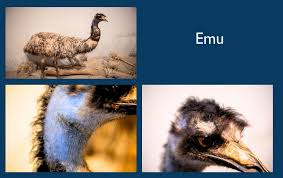 Don't lick it!': Conservator shares tips