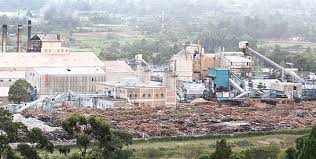 Living By The Rhythm Of Pan African Paper Mills Mambo