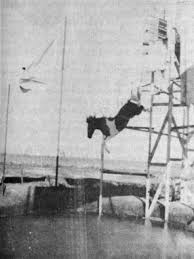 Looking Back: Bowman's diving horses were popular local attraction
