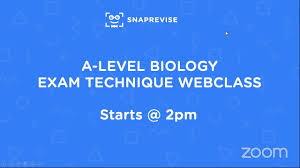 A Level Biology Exam Technique Workshop A Level Biology Biology Exam