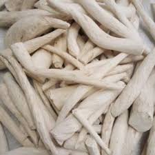 Image result for Synaptolepis