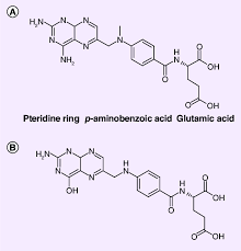 Image result for Methotrexate