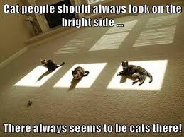 International Veterinary Hospital Always Look On The Bright Side Of Life Have A Lovely Weekend Facebook