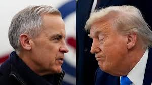 Swoop Airlines refused to give free water, but provided a cup of ice:  passenger