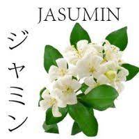 Significado De Las Flores Japonesas