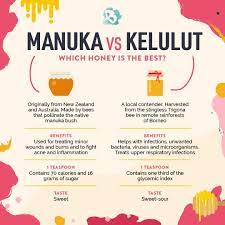 Manuka honey labelled with a registered trademark umf� by licensed companies are packed into jars with ratings of umf 5 or more. Manuka Honey Vs Kelulut Honey Honey Health Expert Antifungal