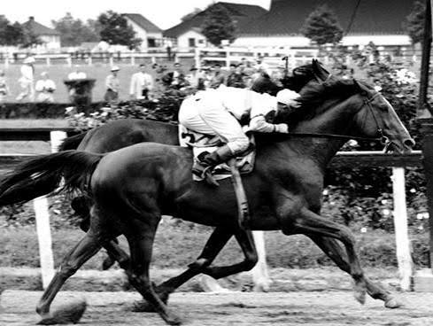 Honoring a Small Horse and Big Dreams – SEABISCUIT (2003) – Once upon a  screen…