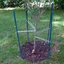 Everbilt 1 In X 3 In X 7 Ft Green Steel U Fence Post 901157eb The Home Depot