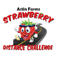SDC 2026 (Strawberry Distance Challenge) event image