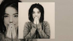 Björk — Features