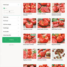 Interactive Tomato Chooser Choose Your Tomato Bonnie Plants