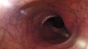 FxReader] Stuffed in the suit... [POV] [Furry] [Noncon] [Anal Vore] [Anal  Gape] [Permavore] [Credits in Caption] : ryiffcaptions