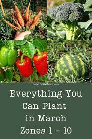 15 Vegetable Seeds You Should Plant In March For Your Spring And Summer Garden Veg Garden Edible Garden Food Garden