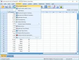 Create Id Number In Spss Quick Spss Tutorial