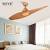 Modern Ceiling Fan