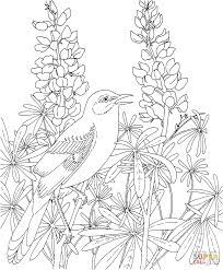 Mockingbird And Bluebonnet Texas State Bird And Flower Bird Coloring Pages Flower Coloring Pages Coloring Pages