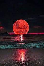 Sambata dimineata luna plina are loc in timp ce soarele in scorpion formeaza opozitie cu luna in taur. Luna Plina Nature Photography Beautiful Moon Nature Pictures