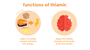 When thiamin intake is inadequate, people can experience irritability, loss of appetite and resultant weight loss, as well as cardiac and neurologic symptoms. Thiamin Vitamin B1 Foods Functions How Much Do You Need More Eufic