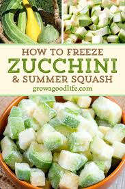 Maybe you would like to learn more about one of these? 5 Ways To Freeze Zucchini Freezing Zucchini Zucchini Harvest Cooking