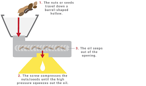 Carrier Oils What Are Carrier Oils Uses Benefits For