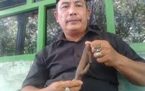 Check spelling or type a new query. Wow Sepotong Bambu Ini Ditawar Rp1 Miliar