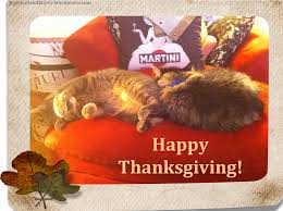Maybe you would like to learn more about one of these? Happy Thanksgiving