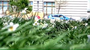 Enslust bestellen und wir liefern es euch! Schaknat Garten Und Landschaftsbau Home Facebook