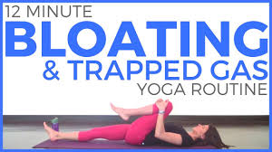 This yoga pose fortifies the arms, shoulders, and legs. Yoga For Bloating Digestion Ulcerative Colitis Ibd Ibs Youtube