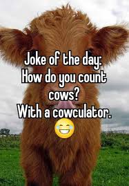 Joke Of The Day How Do You Count Cows With A Cowculator