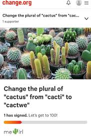 Singular and plural form of cactus is important information accompanied by photo and hd pictures sourced from all websites in the world. Changeorg Change The Plural Of Cactus From Cac 1supporter Change The Plural Of Cactus From Cacti To Cactwe 1 Has Signed Let S Get To 100 Ii Me Irl Change Meme On Me Me