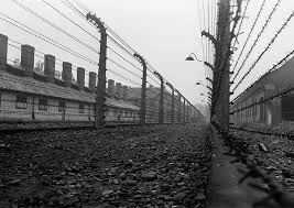 Copiii de 4 ani adreseaza o multime de intrebari cu privire la lumea inconjuratoare si de ce este in modul care este. Mas Del 10 De Los Millennials Y Centennials Creen Que Los Judios Causaron El Holocausto Newsweek Argentina