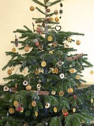 4.2 out of 5 stars 171. Natural Christmas Tree Decorations Outdoor Christmas Tree Outdoor Christmas Tree Decorations Natural Christmas Tree