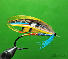 Image result for Turraea fischeri