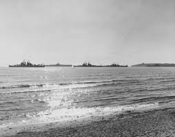 Image result for Grey 1964 Fleet