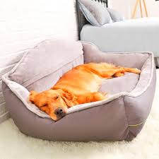 Il existe des canapés pour chien faits de différents matériaux. Canape Pour Chien Doggy Co